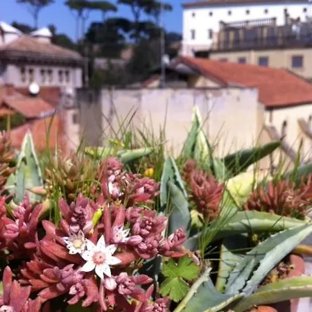 Domus Valeria Guest house Rome